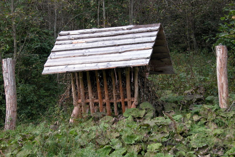 Przystanek nr 7 - GOSPODARKA ŁOWIECKA - URZĄDZENIA ŁOWIECKIE - paśnik i lizawka
